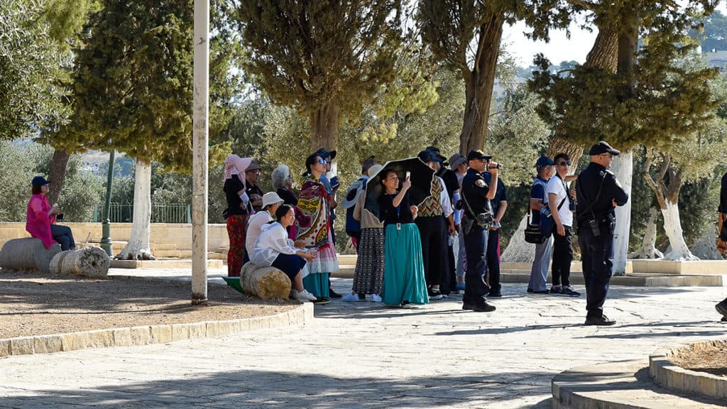 Wraps on Temple Mount